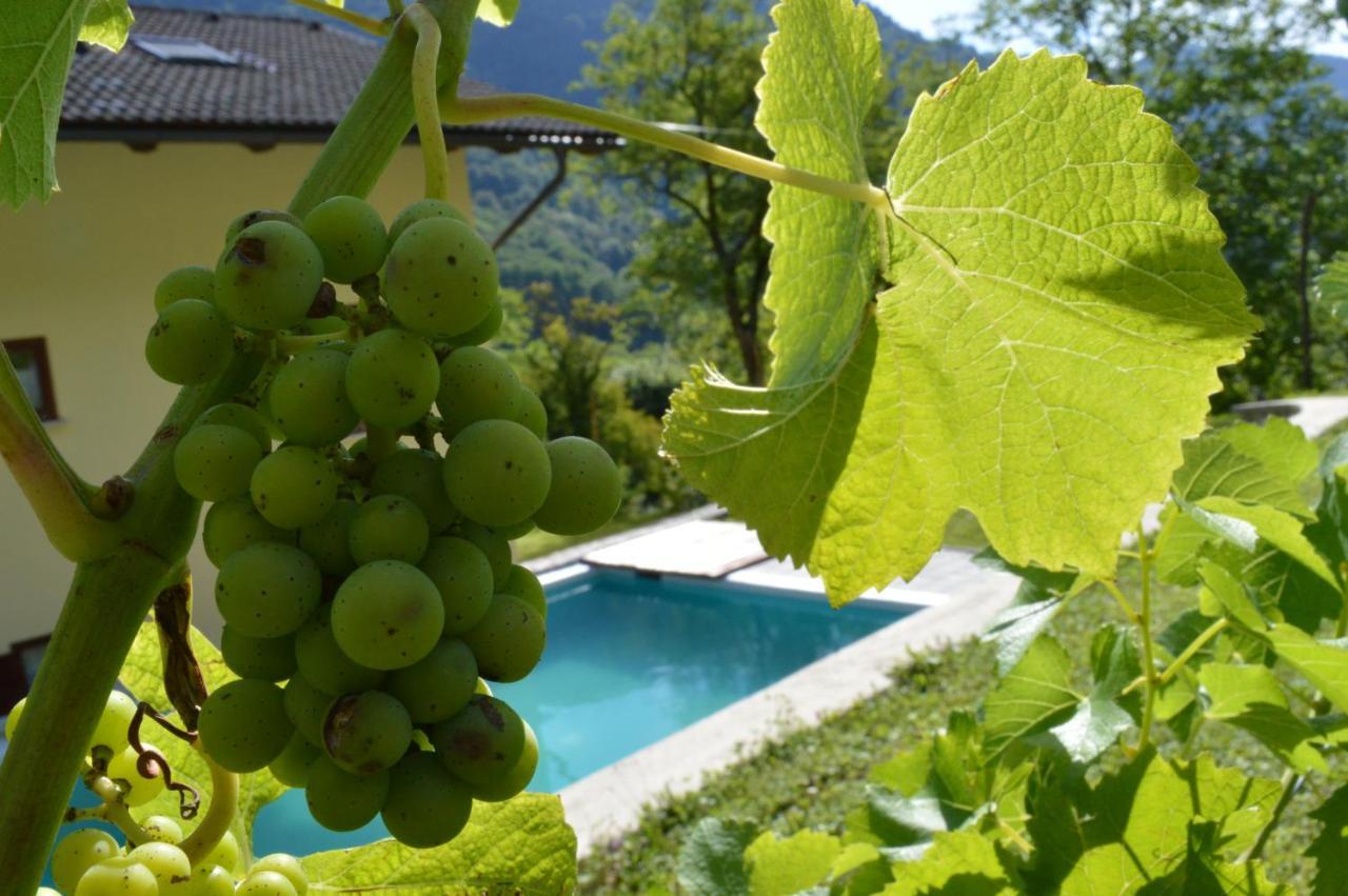 Holiday Home Jelovcerjeva Idrija pri Baci Extérieur photo